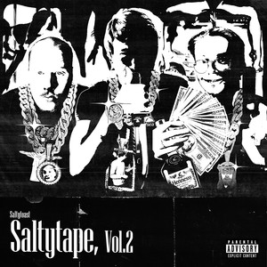 SaltyTape, Vol. 2 (Explicit)