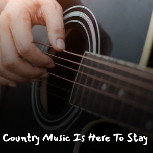 Country Music Is Here To Stay