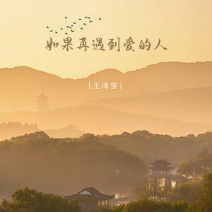 如果再遇到爱的人