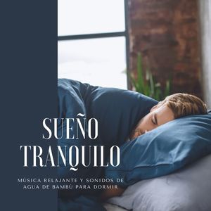 Sueño Tranquilo: Música Relajante y Sonidos de Agua de Bambú para Dormir