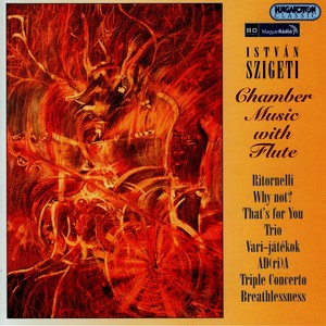 Triple Concerto for 2 flutes and bassoon - Triple Concerto for 2 flutes and bassoon: III. Movement 3