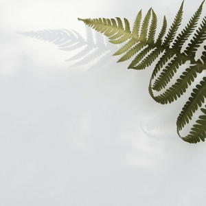 Om
