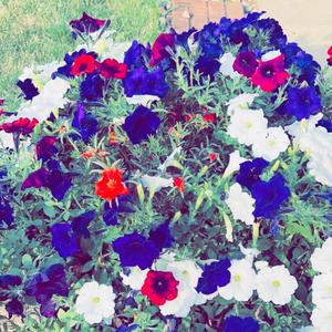 Insane (feat. JOE-C)