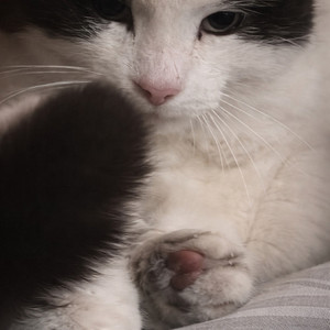 Na Klatce (Explicit)