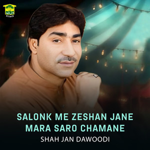 Salonk Me Zeshan Jane Mara Saro Chamane