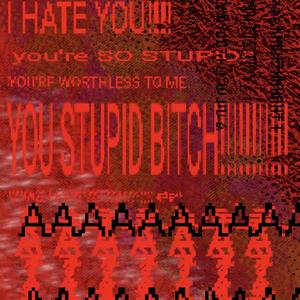 stupid ***** (Explicit)