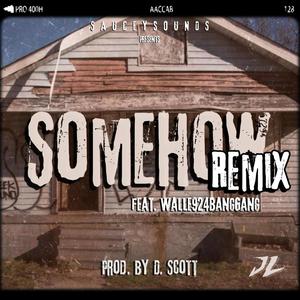Somehow(feat. Walle924BangGang) (Explicit)