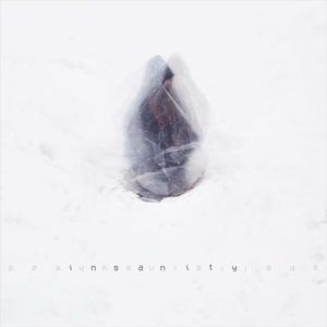 Insanity (cadeu 16:9 mix)