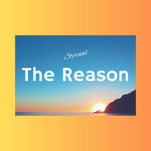 The Reason