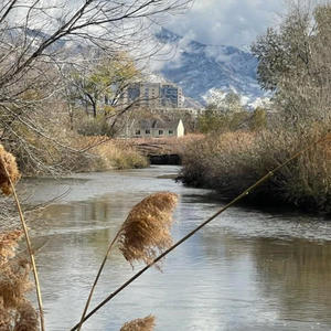 801 joint rotation (feat. Beanie & Damian Blakk) (Explicit)