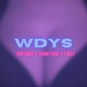 Wdys (feat. E milly) [Explicit]