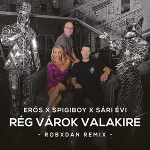 Rég várok valakire (RobXDan Remix)