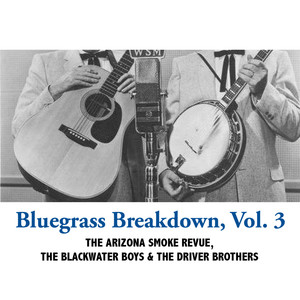 Bluegrass Breakdown, Vol. 3