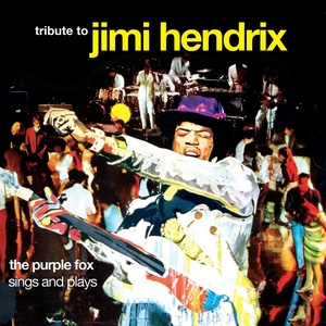 Tribute To Jimi Hendrix