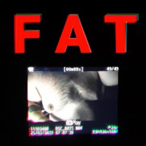 FAT