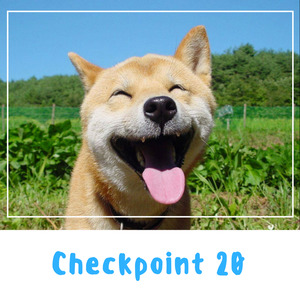 Checkpoint 20