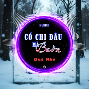 Có Chi Đâu Mà Buồn (Quý Nhỏ Remix)