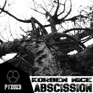Fagus Silvatica (Original Mix)