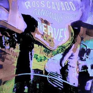 Nerves (feat. fangmadesoso, so so, so so archive & rosscavado archive) (Explicit)