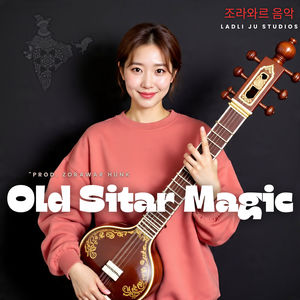 The Soul of Indian Strings