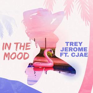 In The Mood (feat. Cjae) (Radio Edit)