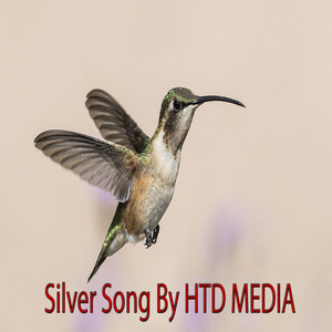 Silver Song