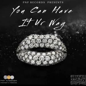 You Can Have It Ur Way (Explicit)