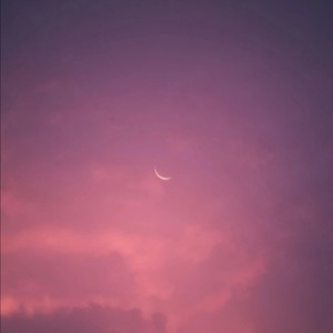 青花瓷旋律(接力摇) (接力摇)