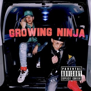 Growing Ninja (feat. N.仏陀.a.k.a油屋) [Explicit]