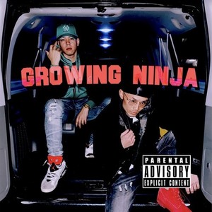 Growing Ninja(feat. N.仏陀.a.k.a油屋) (Explicit)