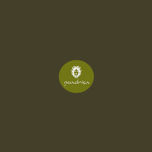 Solar Circuit (Extended Mix)