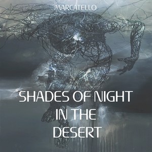 Shades of Night in the Desert