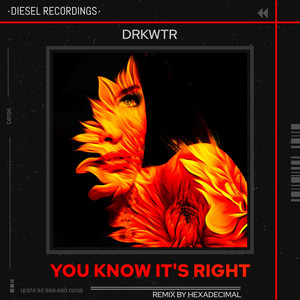 You Know It's Right (Hexadecimal Remix)