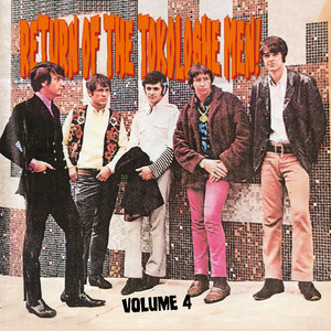 I Wanna Take You Home