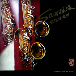 张绪华 - 晚会 (黑胶版)