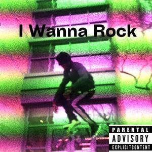 I Wanna Rock (Explicit)