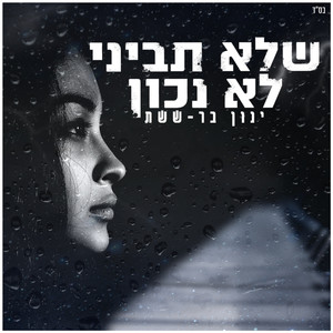 שלא תביני לא נכון - קאבר