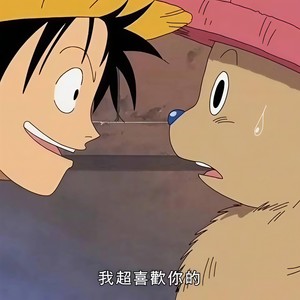 太陽と向日葵