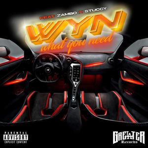 What you need (feat. Zambo & Stuccy) (Explicit)