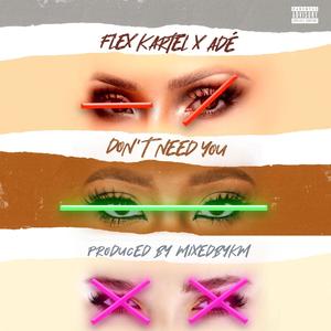 Don't Need You (feat. ADÉ) (Explicit)