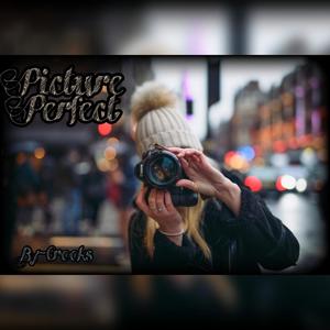 Picture Perfect (Explicit)