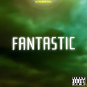 Fantastic (Explicit)