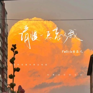 请慢一点忘了我