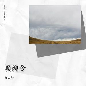 马踏樱花-喵大爷