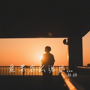 爱要怎么说出口-林栖