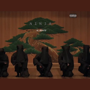 Ninja