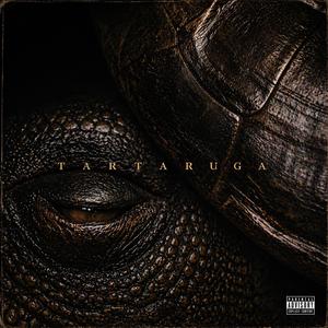 Kalibrasyon (Explicit)