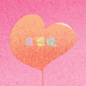 我想说