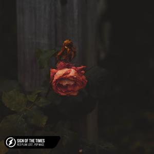Sign Of The Times (Acoustic)