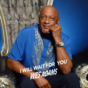 I Will Wait For You